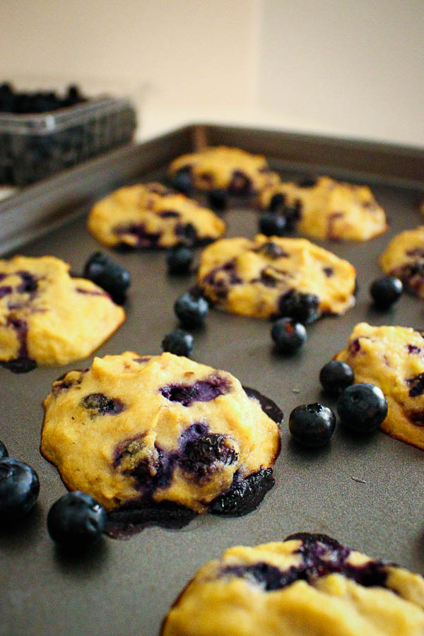 Level view of lemon blueberry coconut cookies on a baking sheet